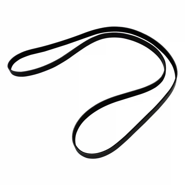 Accessory Drive Belt