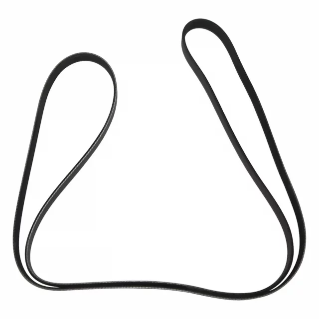 Serpentine Belt