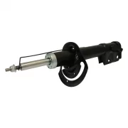 Suspension Strut (Front Right)