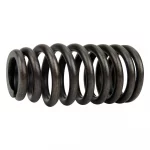 Valve Spring